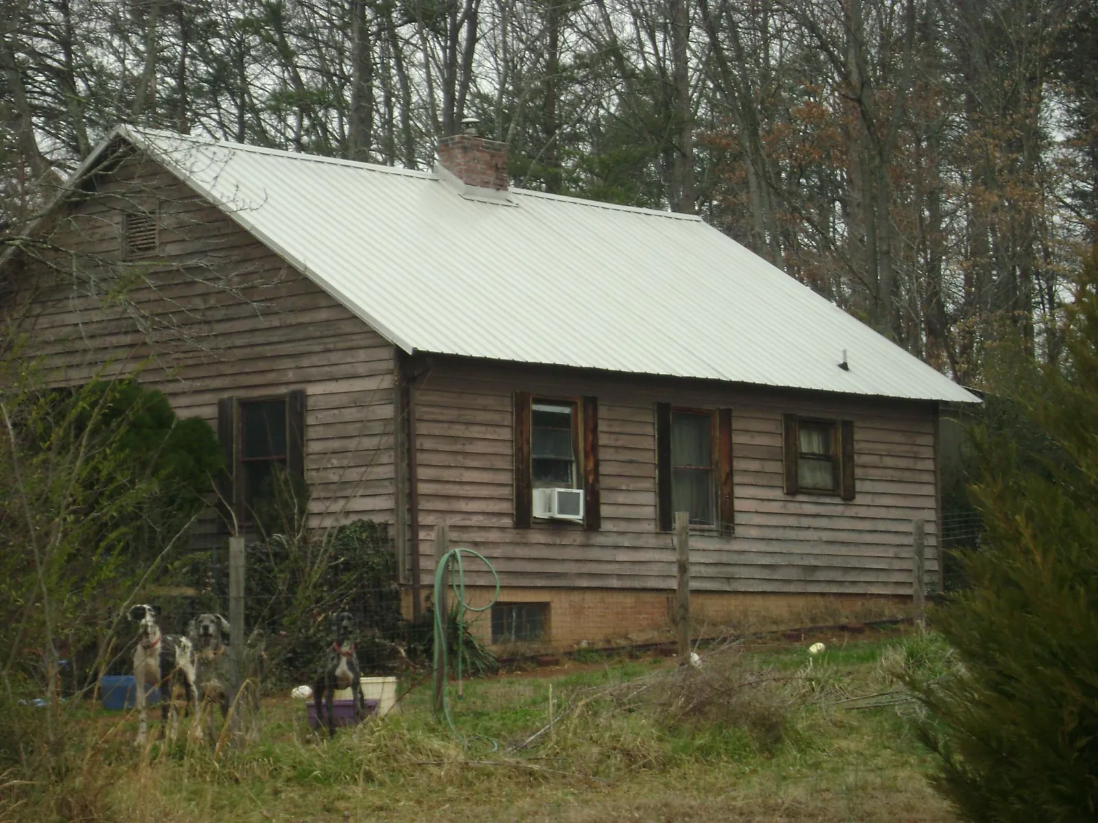 White metal roof on an old wood sided farmhouse, from a Metal Roof Installation job in Agness